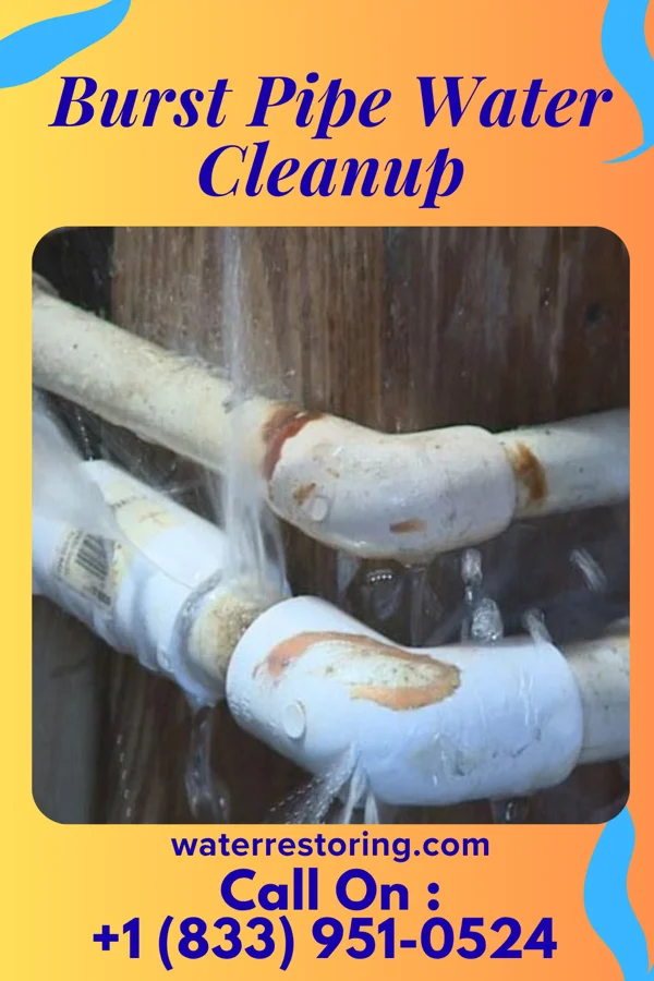 Burst Pipe Water Cleanup in East Milton, FL